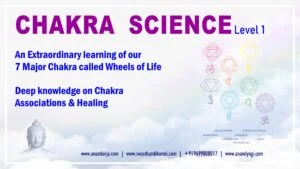 Chakra Science Level 1